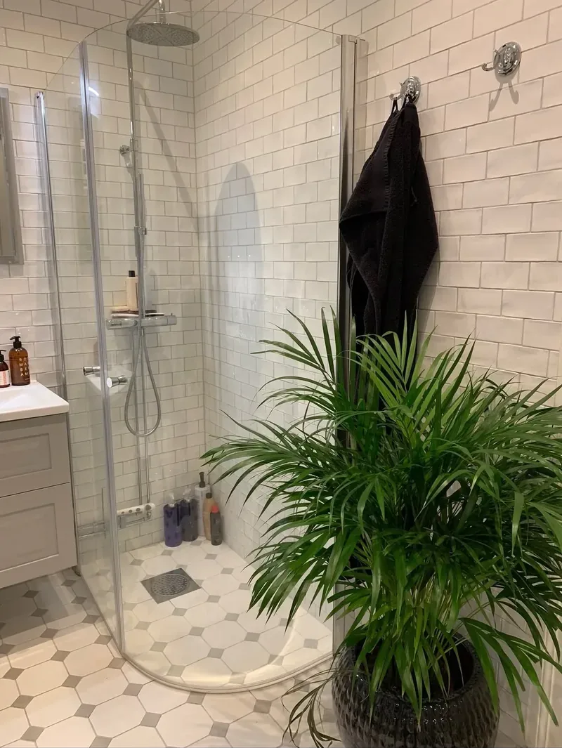 Dusch med vitt kakel, böjda glasdörrar och åttkantig klinker med en stor palm i förgrunden